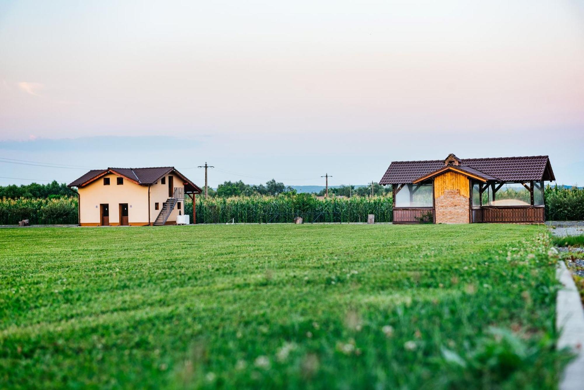 Rai Romanesc Saliste (Sibiu) Exterior foto